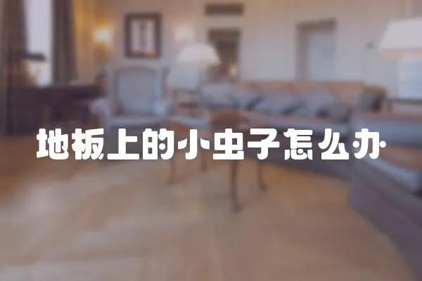 地板上的小蟲子怎么辦