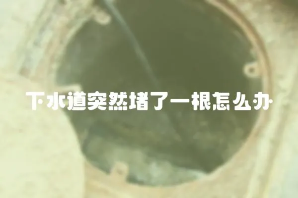 下水道突然堵了一根怎么辦