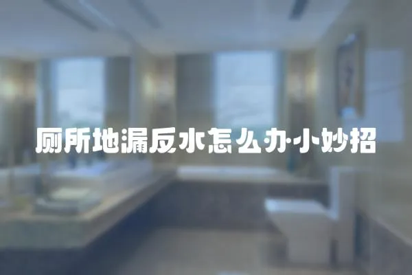 廁所地漏反水怎么辦小妙招