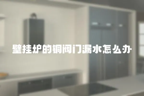 壁掛爐的銅閥門漏水怎么辦