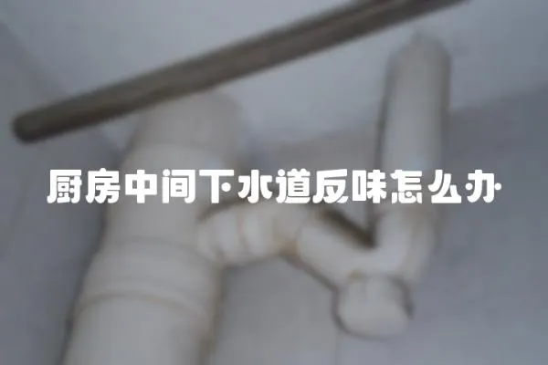 廚房中間下水道反味怎么辦