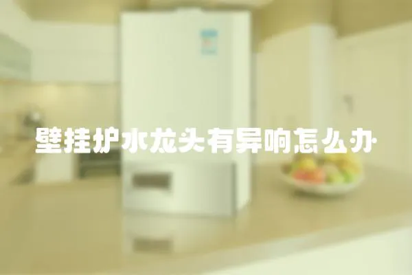 壁掛爐水龍頭有異響怎么辦