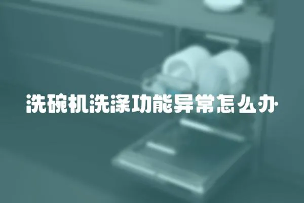 洗碗机洗涤功能异常怎么办