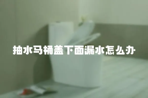 抽水馬桶蓋下面漏水怎么辦