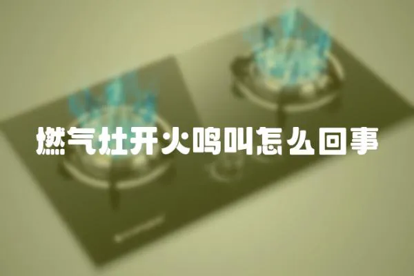 燃氣灶開火鳴叫怎么回事