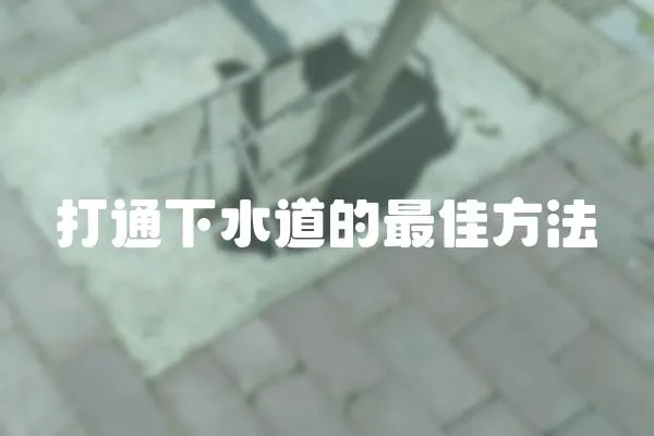 打通下水道的最佳方法