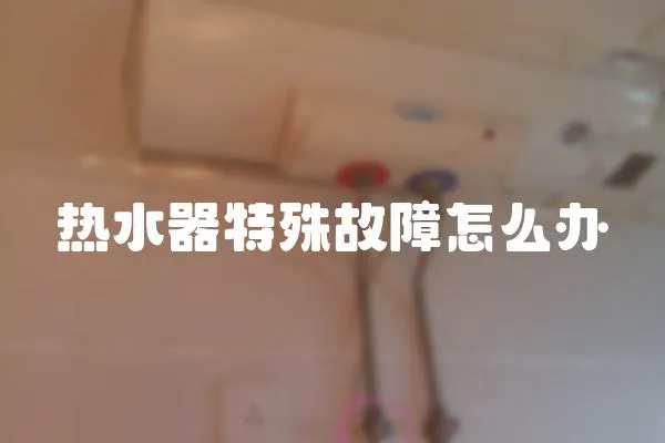 熱水器特殊故障怎么辦
