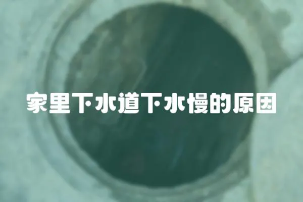 家里下水道下水慢的原因