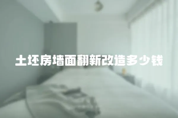 土坯房墻面翻新改造多少錢