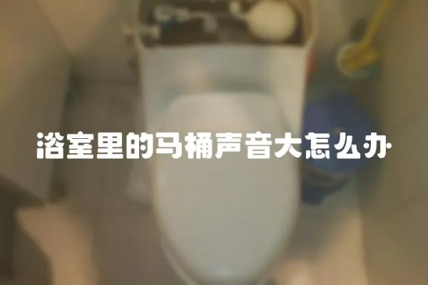 浴室里的馬桶聲音大怎么辦