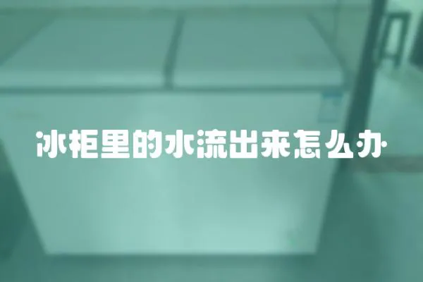 冰柜里的水流出來怎么辦