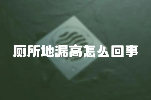 廁所地漏高怎么回事