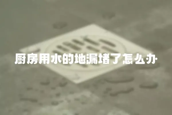 廚房用水的地漏堵了怎么辦