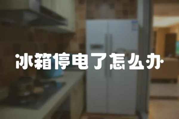 冰箱停電了怎么辦