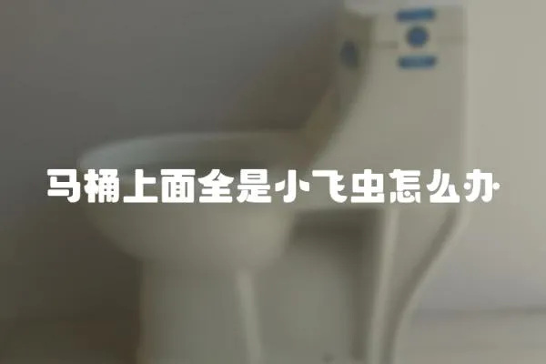 馬桶上面全是小飛蟲怎么辦