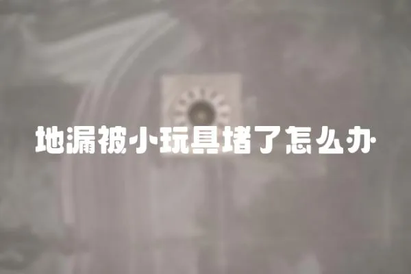 地漏被小玩具堵了怎么辦