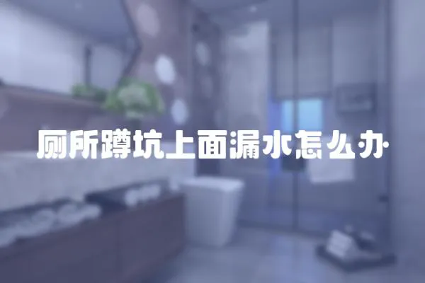 廁所蹲坑上面漏水怎么辦