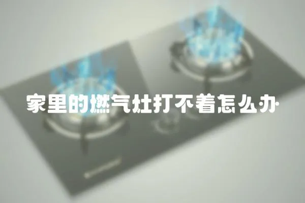 家里的燃?xì)庠畲虿恢趺崔k