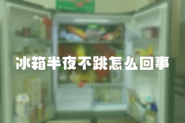 冰箱半夜不跳怎么回事