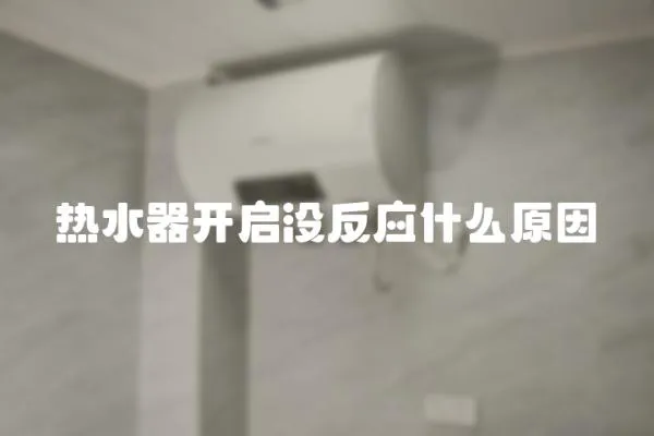 熱水器開啟沒反應(yīng)什么原因