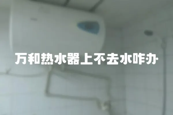 萬(wàn)和熱水器上不去水咋辦