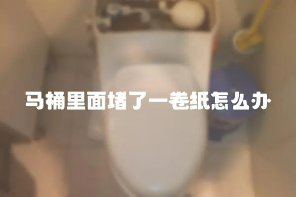 馬桶里面堵了一卷紙怎么辦