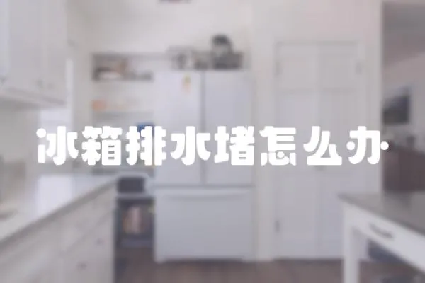 冰箱排水堵怎么办