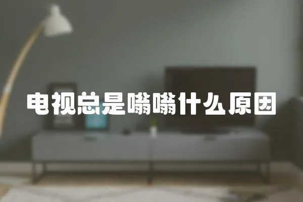 電視總是嗡嗡什么原因