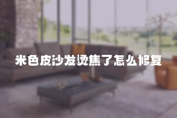 米色皮沙發燙焦了怎么修復