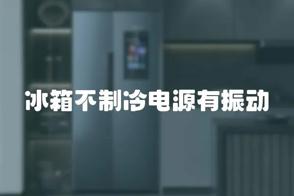 冰箱不制冷電源有振動