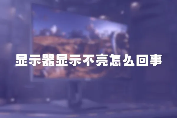 顯示器顯示不亮怎么回事