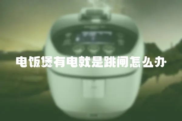 電飯煲有電就是跳閘怎么辦