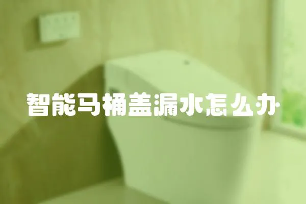 智能馬桶蓋漏水怎么辦