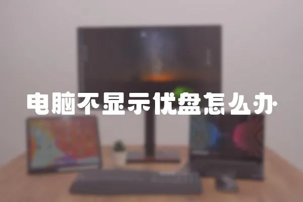 電腦不顯示優盤怎么辦