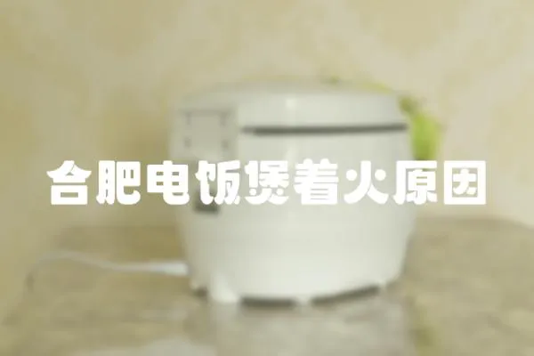 合肥電飯煲著火原因