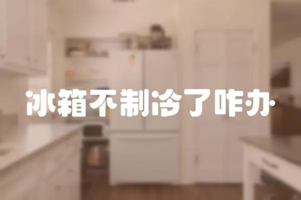 冰箱不制冷了咋辦