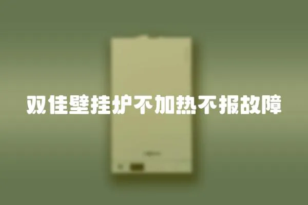 雙佳壁掛爐不加熱不報故障