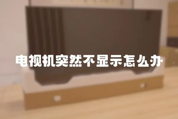 電視機突然不顯示怎么辦