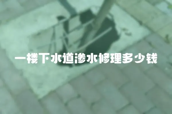 一樓下水道滲水修理多少錢