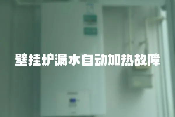 壁掛爐漏水自動加熱故障