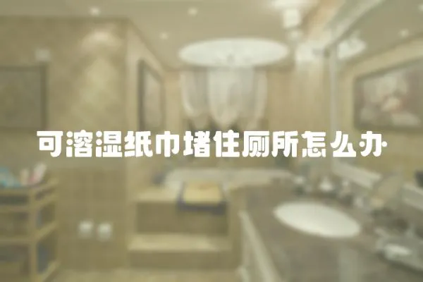 可溶濕紙巾堵住廁所怎么辦