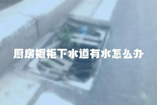 廚房櫥柜下水道有水怎么辦