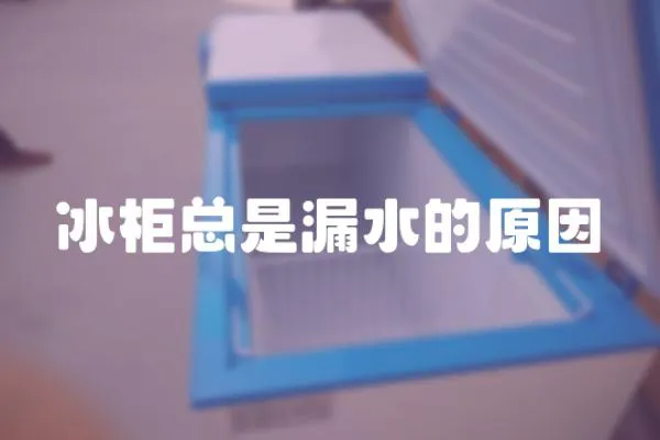 冰柜總是漏水的原因