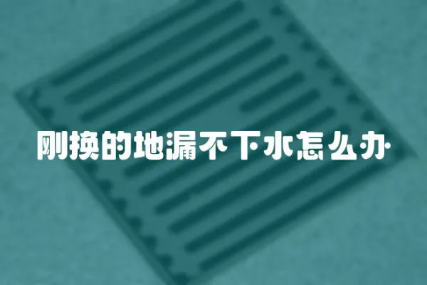 剛換的地漏不下水怎么辦
