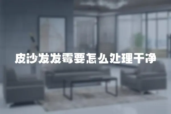 皮沙發發霉要怎么處理干凈