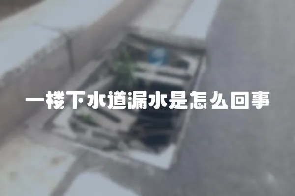 一樓下水道漏水是怎么回事