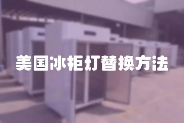 美國冰柜燈替換方法