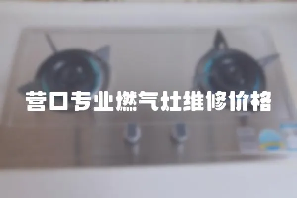 营口专业燃气灶维修价格