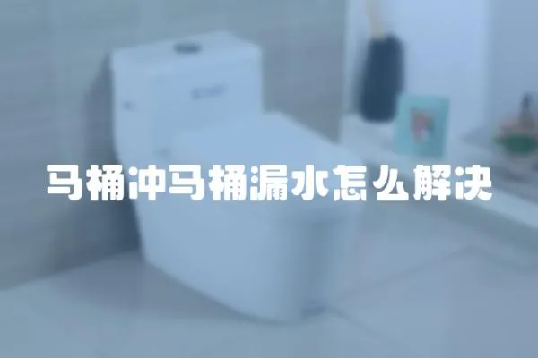 馬桶沖馬桶漏水怎么解決