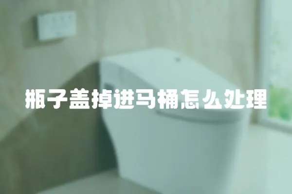瓶子蓋掉進馬桶怎么處理